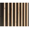 Schrank mit Spiegel Comas 100 – Eiche Artisan + Schwarz