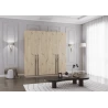 Drehtürenschrank Glamy 4D