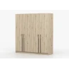 Drehtürenschrank Glamy 4D