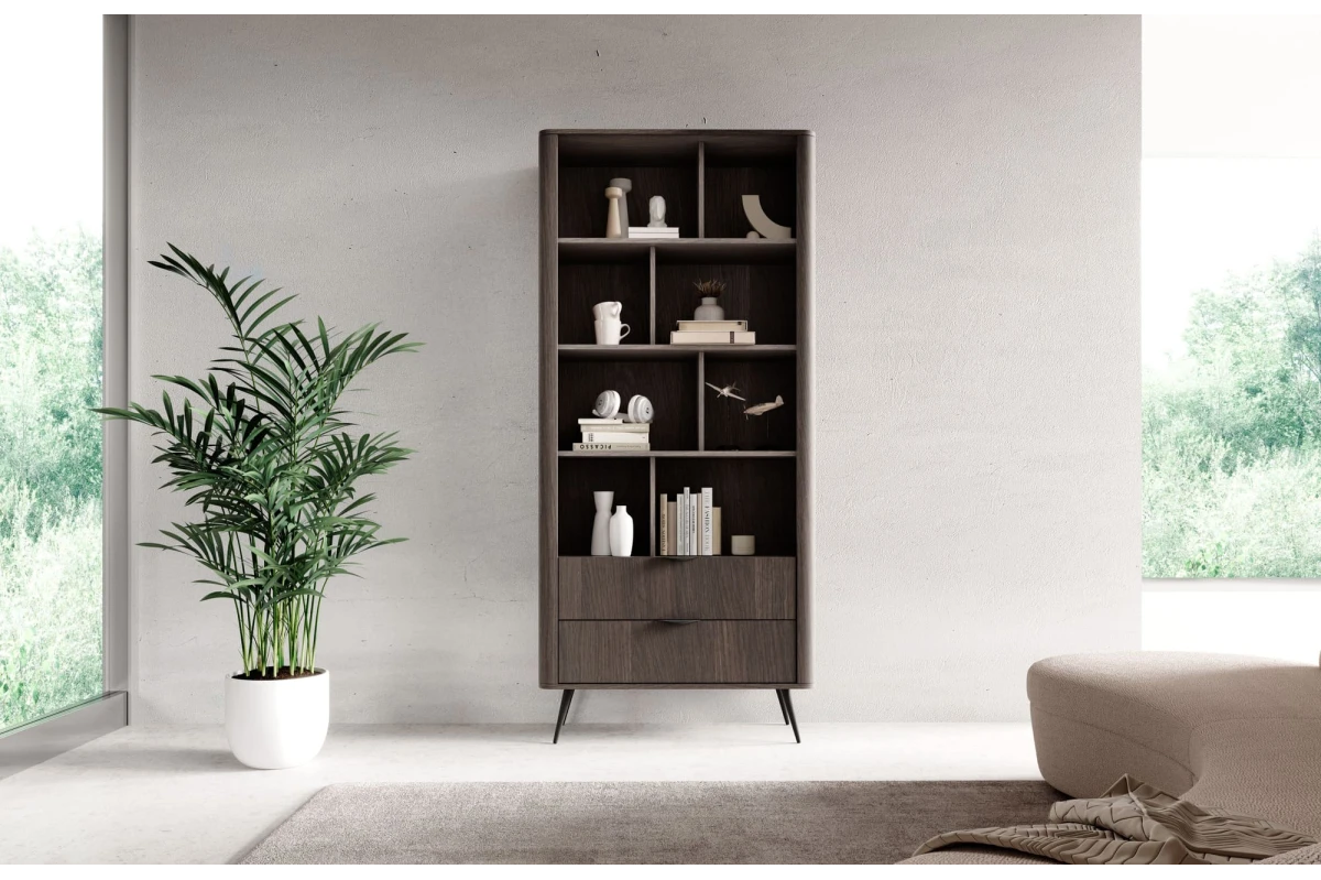 Regal 2S LARON – Schwarz + Eiche Dunin