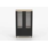 Vitrine AUREO 2-türig