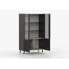 Vitrine AUREO 2-türig