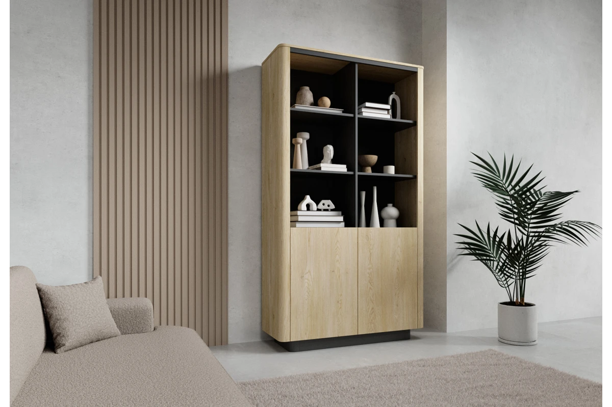 Regal 2D TARO – Tiefschwarz + Eiche Cremona